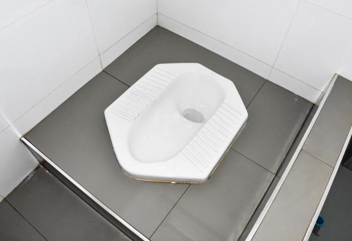 Indian Toilet Seat Design