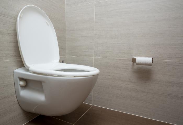 Western Toilet seat Design