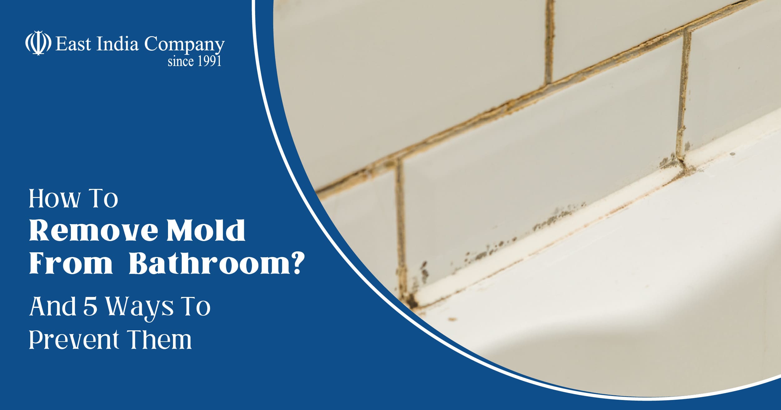 How To Remove Mold From Bathroom